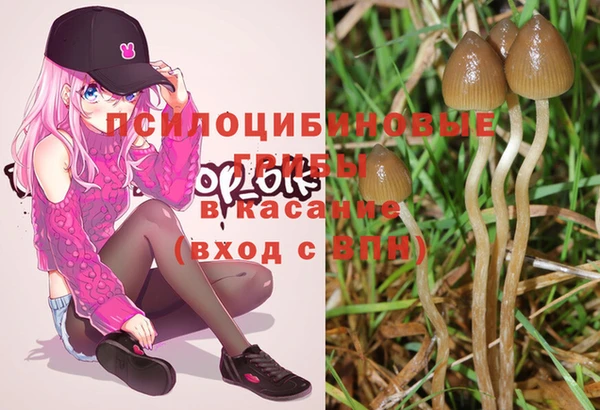 шишки Бронницы
