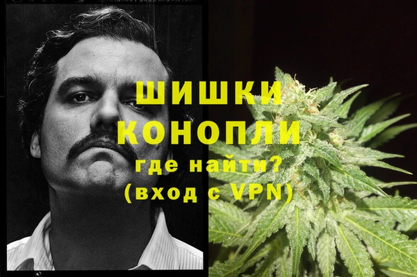 шишки Бронницы