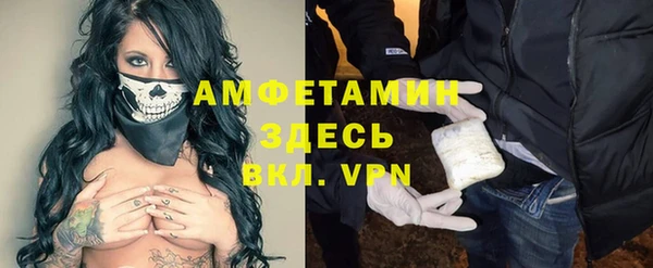 шишки Бронницы